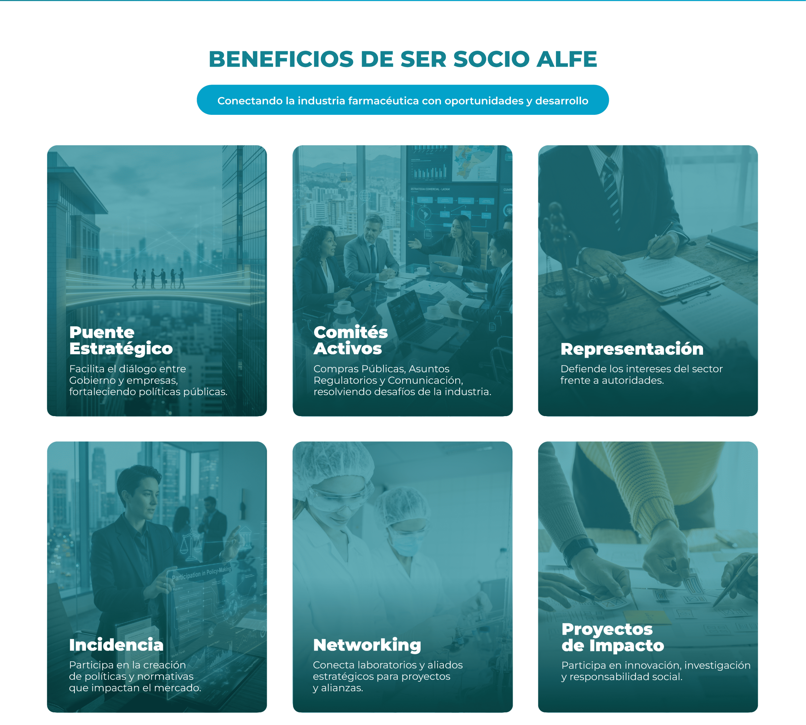 beneficios de ser socio de ALFE
